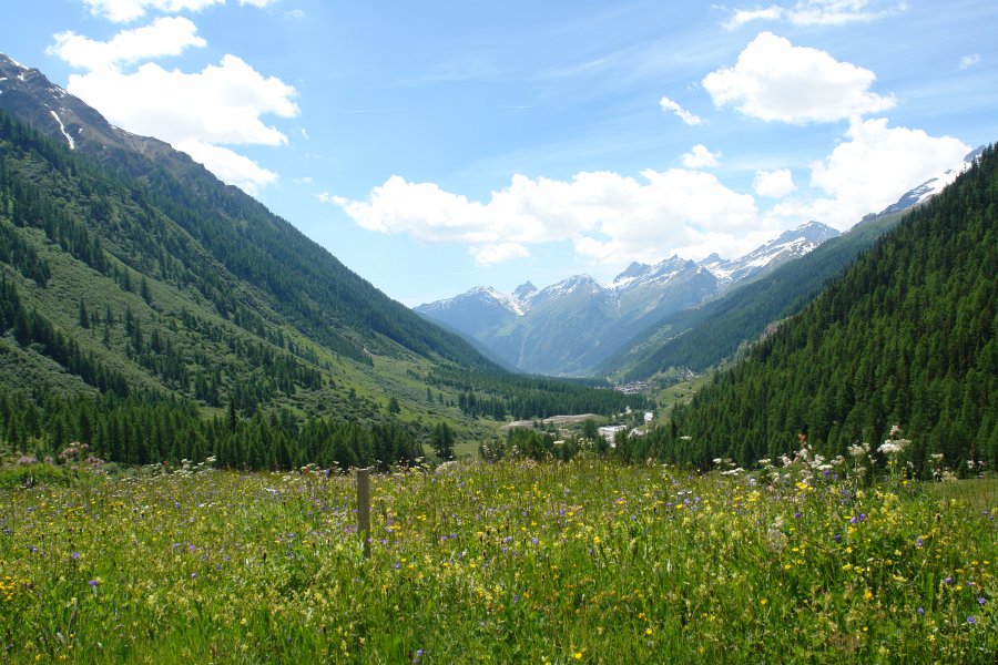 gal/bus/Tour_de_Suisse_Alpes_10/DSC02865.JPG