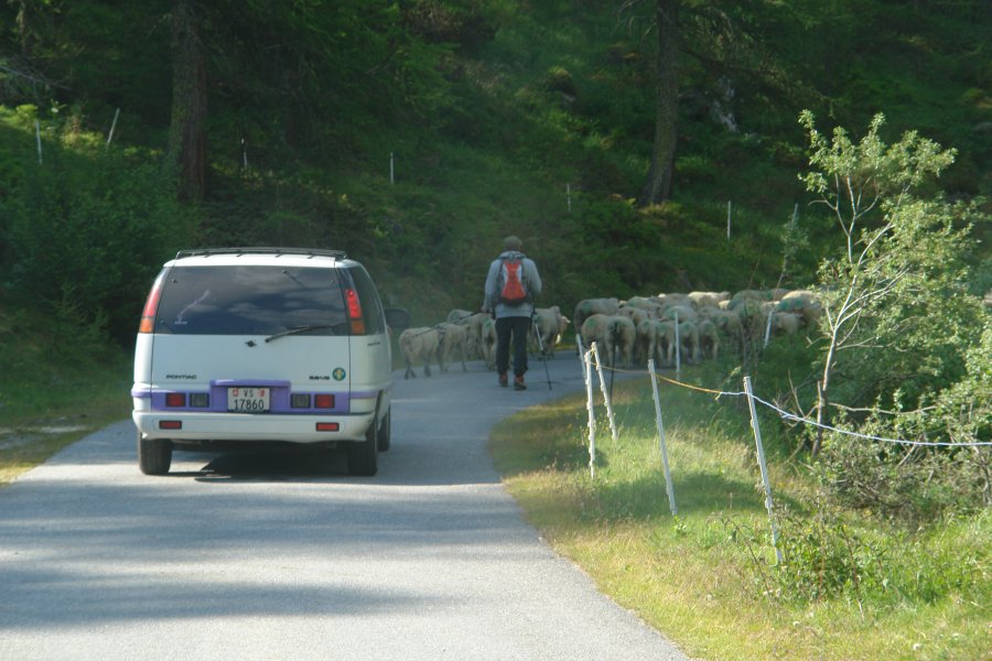 gal/bus/Tour_de_Suisse_Alpes_10/DSC02950.JPG