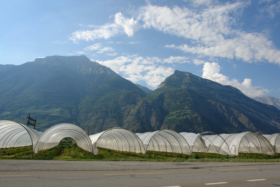 gal/bus/Tour_de_Suisse_Alpes_10/DSC03031.JPG