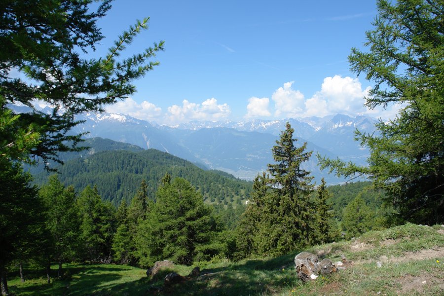 gal/bus/Tour_de_Suisse_Alpes_10/DSC03116.JPG