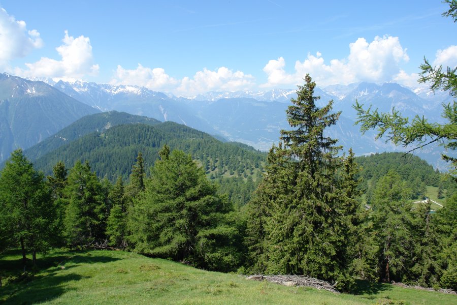 gal/bus/Tour_de_Suisse_Alpes_10/DSC03132.JPG