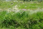 gal/bus/Tour_de_Suisse_Alpes_10/_thb_DSC02966.JPG