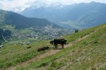 gal/bus/Tour_de_Suisse_Alpes_10/_thb_DSC03172.JPG