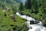 gal/bus/Tour_de_Suisse_Alpes_10/_thb_DSC03451.JPG