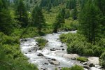 gal/bus/Tour_de_Suisse_Alpes_10/_thb_DSC03464.JPG