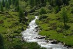 gal/bus/Tour_de_Suisse_Alpes_10/_thb_DSC03484.JPG