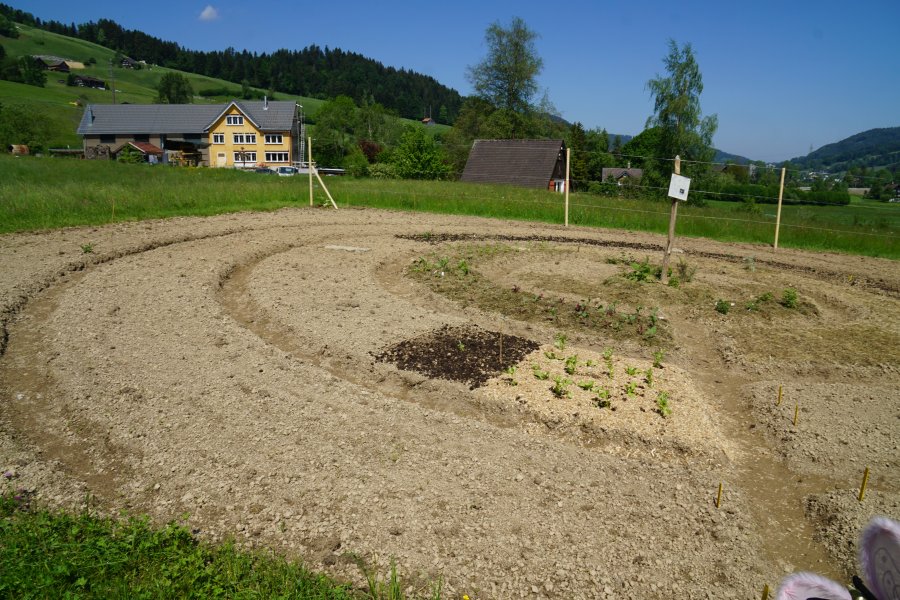 gal/diverses/Allmenweg/b_17052020/DSC06856.JPG