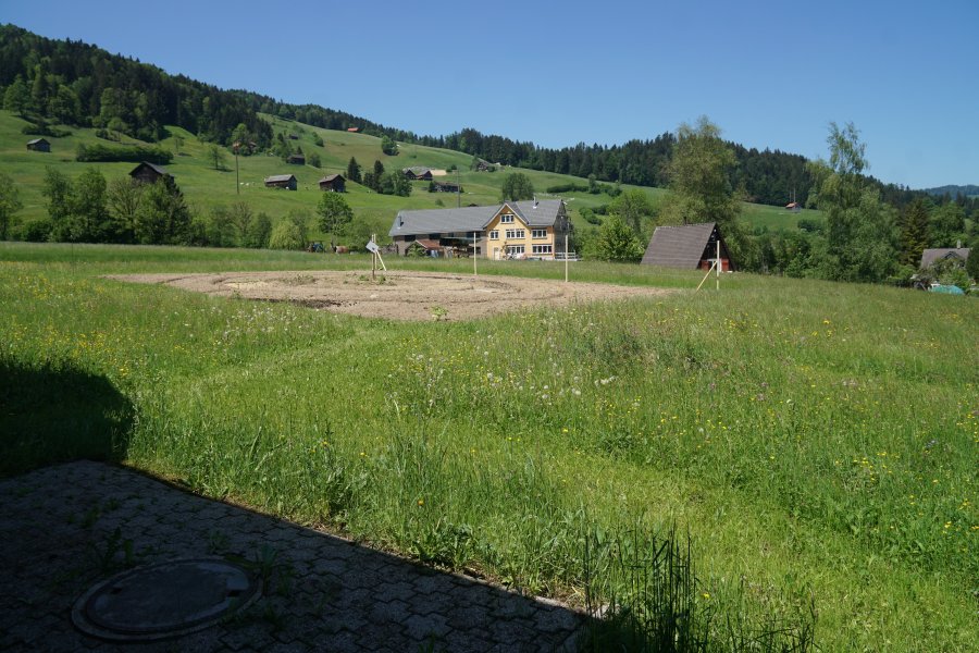 gal/diverses/Allmenweg/b_17052020/DSC06864.JPG