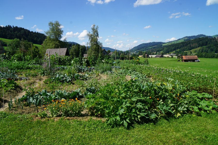 gal/diverses/Allmenweg/d_25072020/DSC07075.JPG