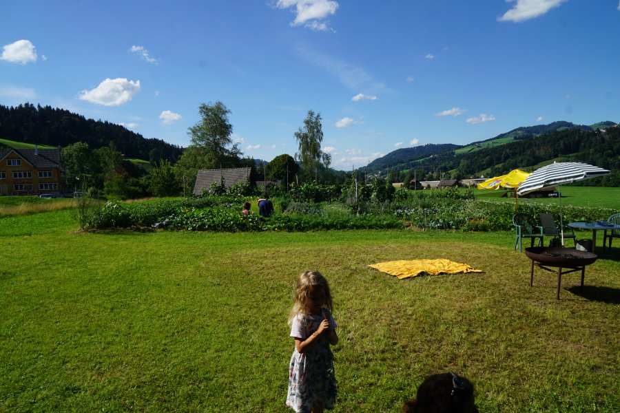 gal/diverses/Allmenweg/d_25072020/DSC07082.JPG