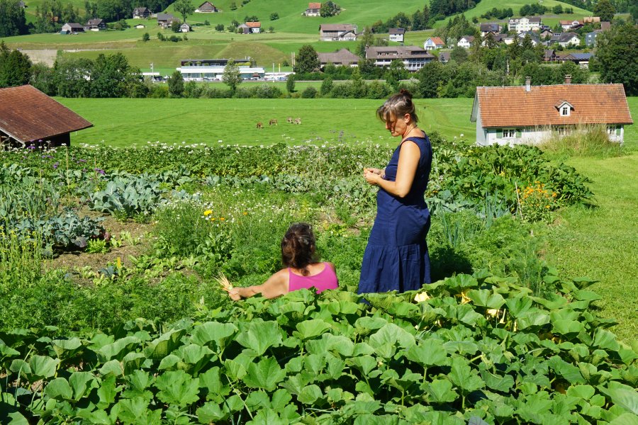 gal/diverses/Allmenweg/d_25072020/DSC07083.JPG