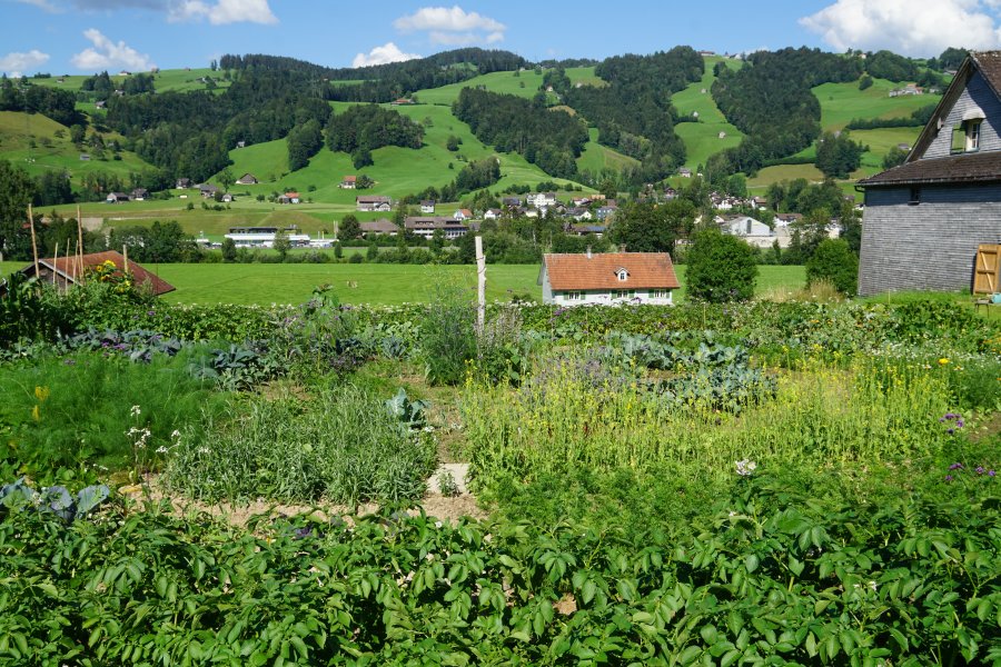 gal/diverses/Allmenweg/d_25072020/DSC07084.JPG