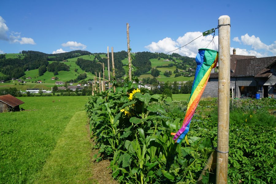 gal/diverses/Allmenweg/d_25072020/DSC07086.JPG