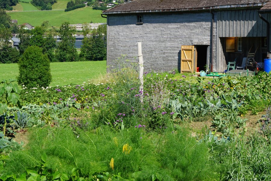 gal/diverses/Allmenweg/d_25072020/DSC07091.JPG