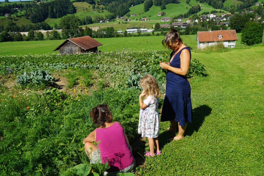 gal/diverses/Allmenweg/d_25072020/DSC07097.JPG