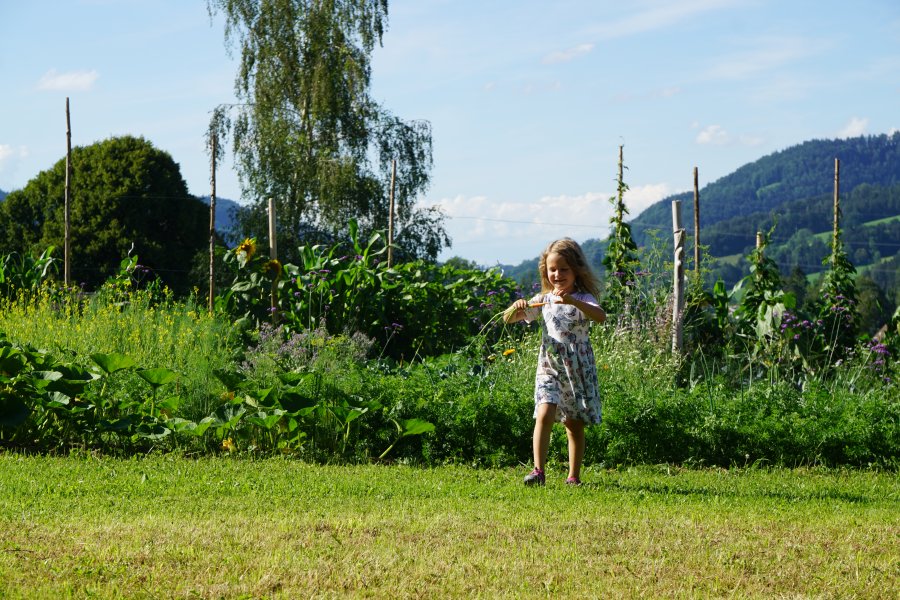 gal/diverses/Allmenweg/d_25072020/DSC07108.JPG