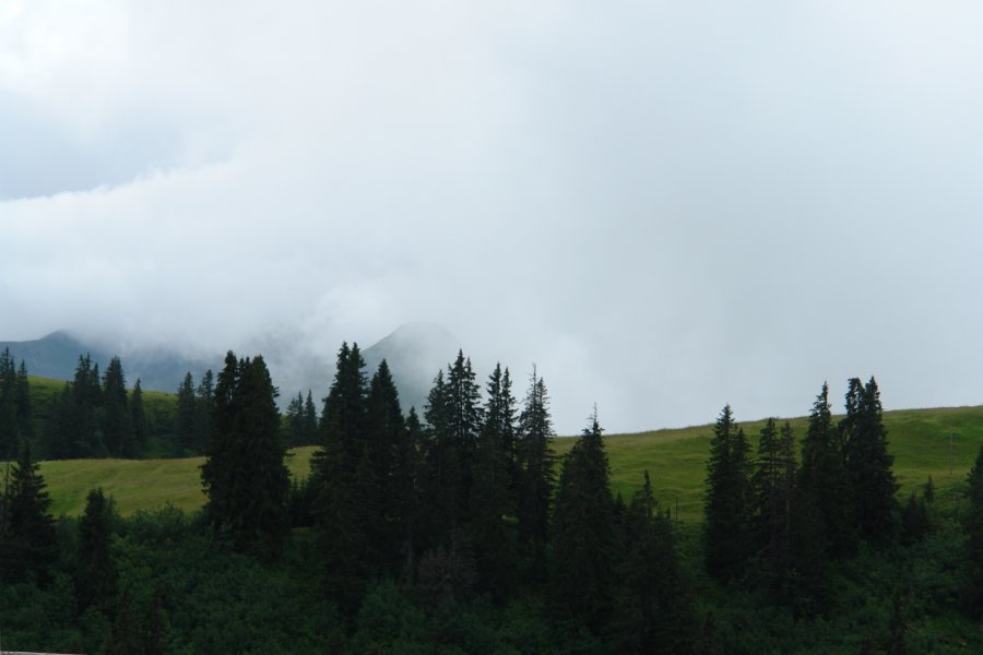 gal/diverses/Atmosphere09/DSC07770.JPG