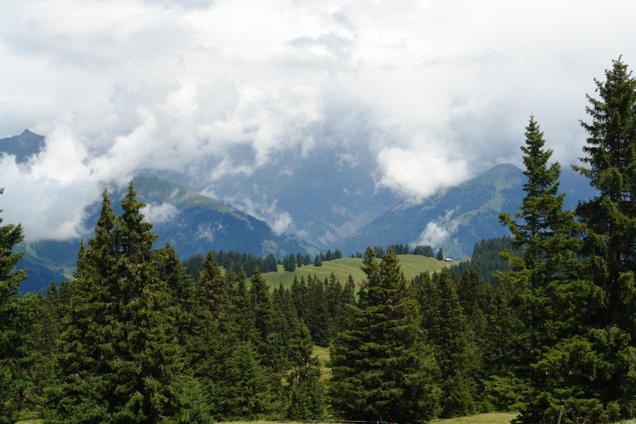 gal/diverses/Atmosphere09/DSC07781.JPG