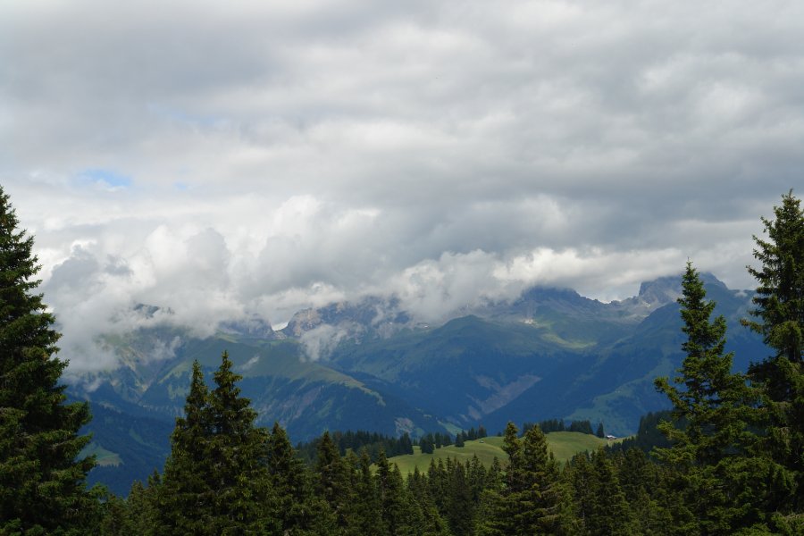 gal/diverses/Atmosphere09/DSC07804.JPG