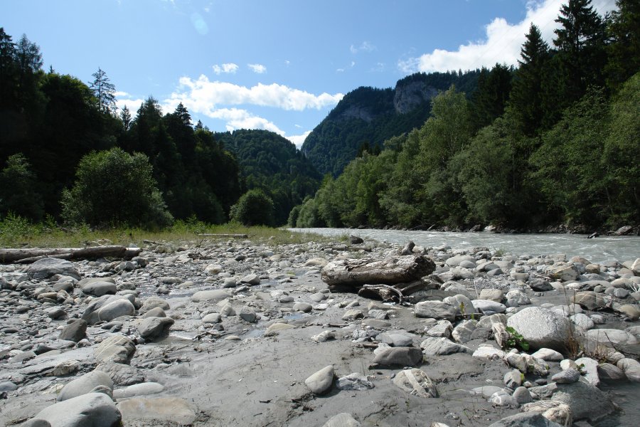 gal/diverses/Atmosphere09/DSC07812.JPG