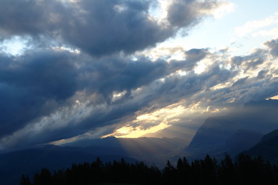 gal/diverses/Atmosphere09/DSC07862.JPG
