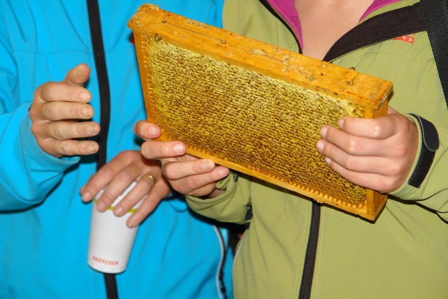 gal/diverses/Bienenexkursion11/DSC07213.JPG