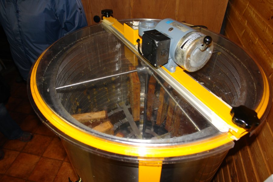 gal/diverses/Bienenexkursion11/DSC07215.JPG