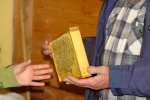 gal/diverses/Bienenexkursion11/_thb_DSC07212.JPG