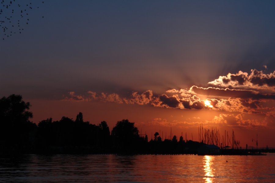 gal/diverses/BodenseeAltnau18072014/DSC01669.JPG