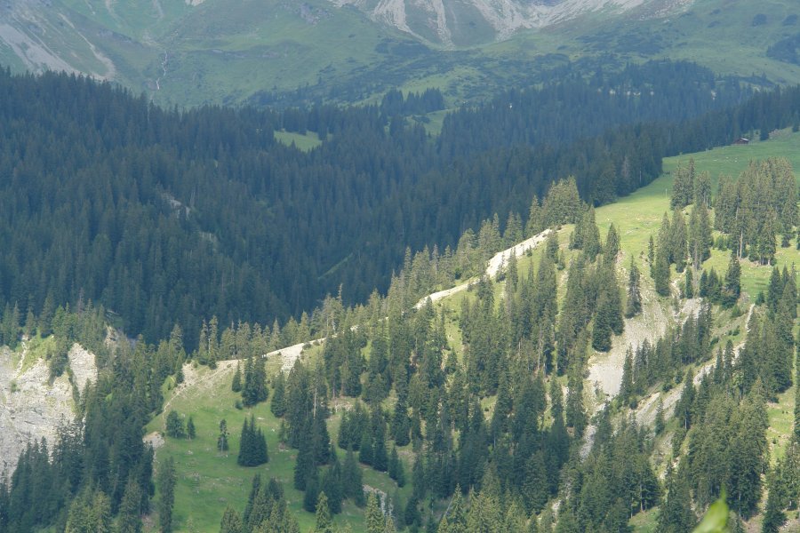 gal/diverses/Buendnerlandtour08/DSC01441.JPG