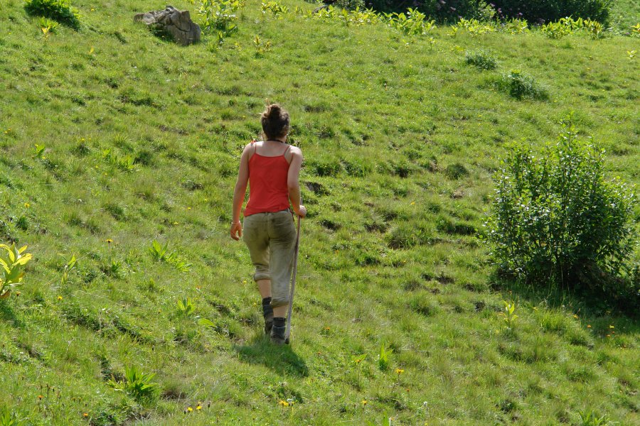 gal/diverses/Buendnerlandtour08/DSC01447.JPG