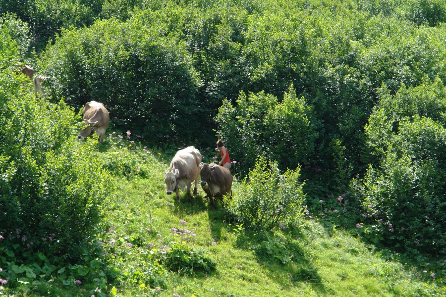 gal/diverses/Buendnerlandtour08/DSC01451.JPG