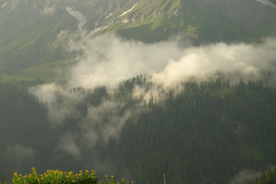 gal/diverses/Buendnerlandtour08/DSC01491.JPG