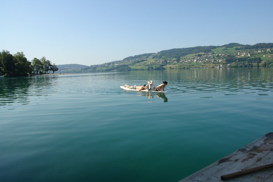 gal/diverses/HallwilerseeAug09/DSC08444.JPG