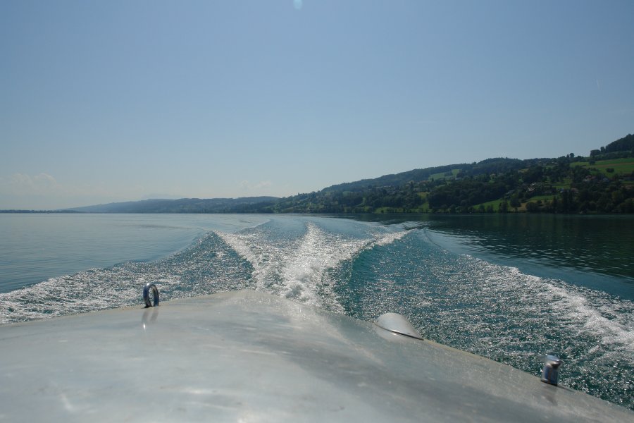 gal/diverses/HallwilerseeAug09/DSC08493.JPG