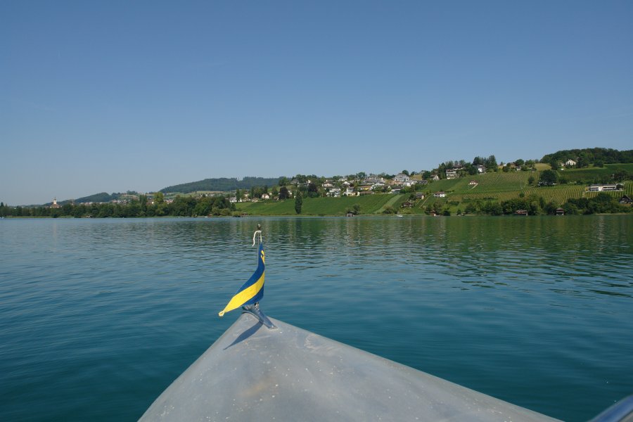 gal/diverses/HallwilerseeAug09/DSC08494.JPG