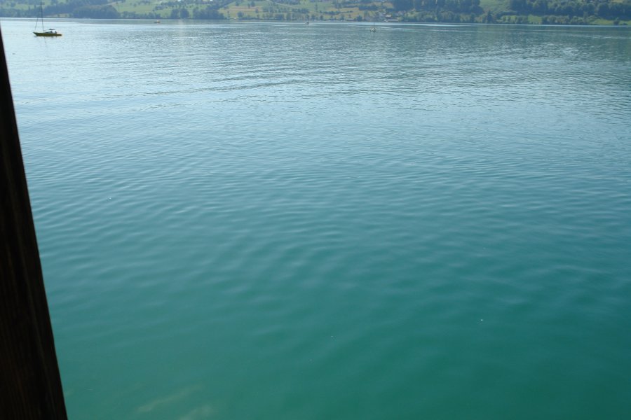 gal/diverses/HallwilerseeAug09/DSC08502.JPG