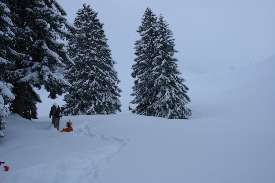 gal/diverses/Iglu2010/DSC00309.JPG