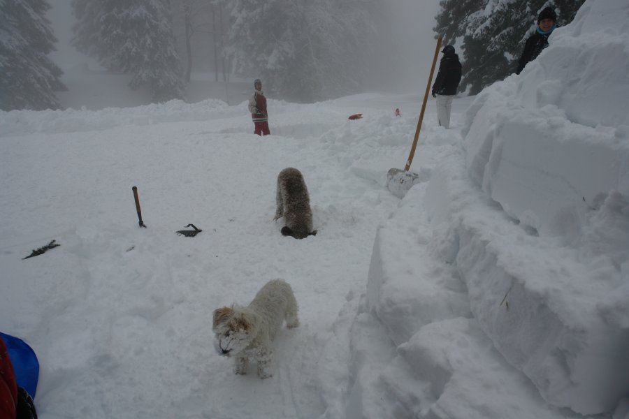 gal/diverses/Iglu2010/DSC00358.JPG