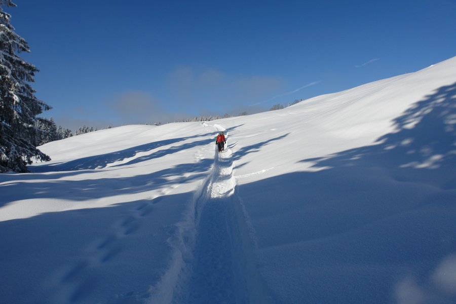 gal/diverses/Iglu2010/DSC00486.JPG