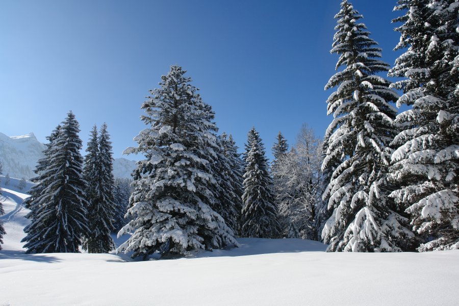 gal/diverses/Iglu2010/DSC00492.JPG