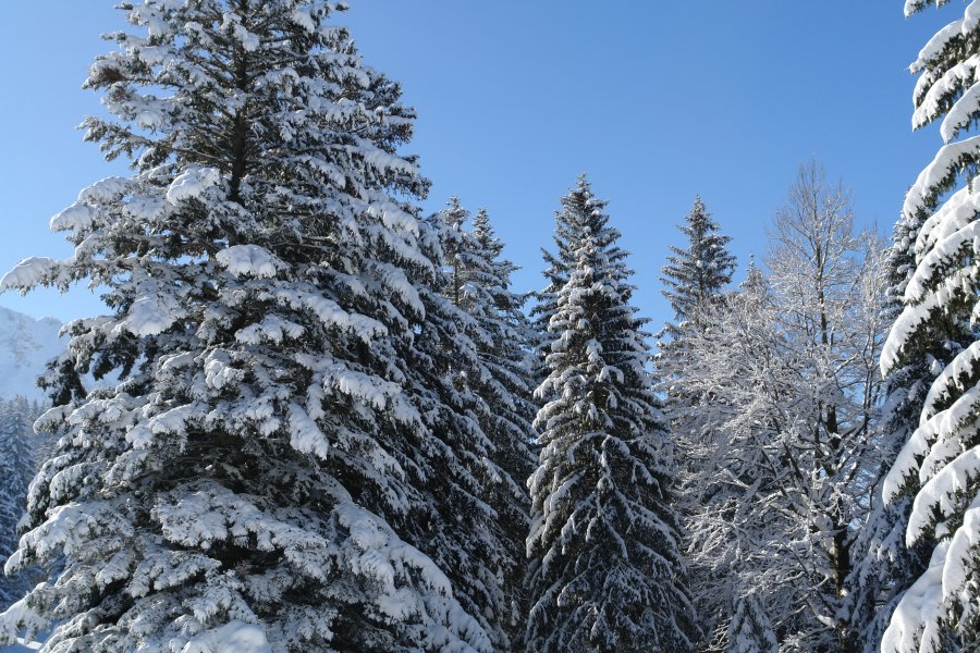 gal/diverses/Iglu2010/DSC00493.JPG