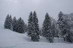 gal/diverses/Iglu2010/_thb_DSC00291.JPG