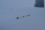 gal/diverses/Iglu2010/_thb_DSC00315.JPG