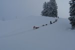 gal/diverses/Iglu2010/_thb_DSC00319.JPG