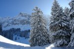 gal/diverses/Iglu2010/_thb_DSC00483.JPG