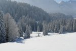 gal/diverses/Iglu2010/_thb_DSC00643.JPG