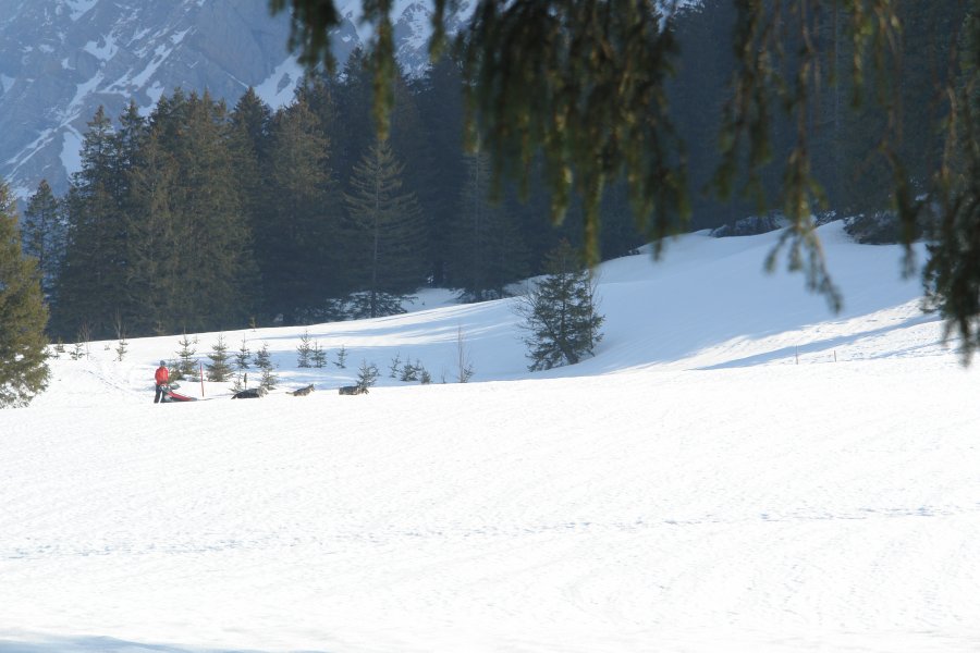 gal/diverses/Iglu2012/DSC02585.JPG