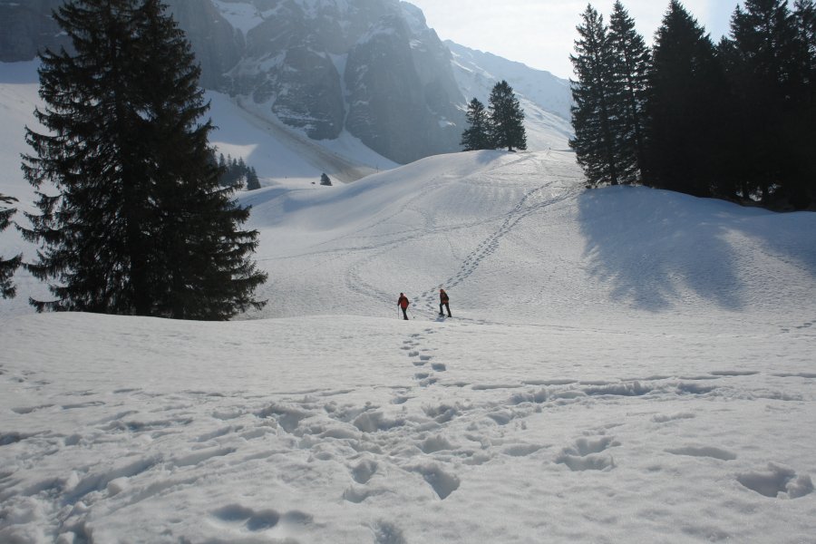gal/diverses/Iglu2012/DSC02615.JPG