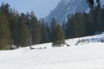 gal/diverses/Iglu2012/_thb_DSC02587.JPG